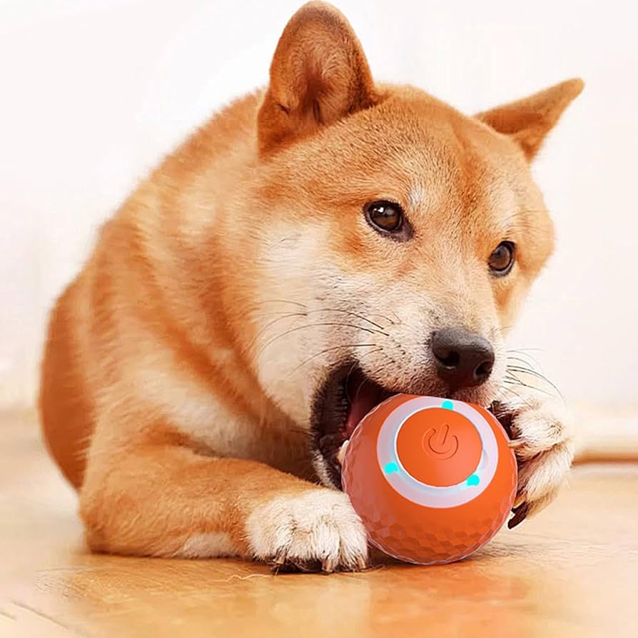 Pallina interattiva per cani e gatti