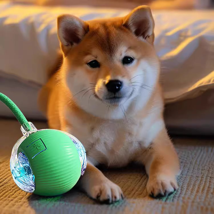Pallina interattiva per cani e gatti