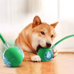 Pallina interattiva per cani e gatti