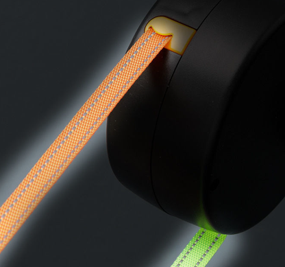 Guinzaglio Retrattile Automatico a Doppia Estremità