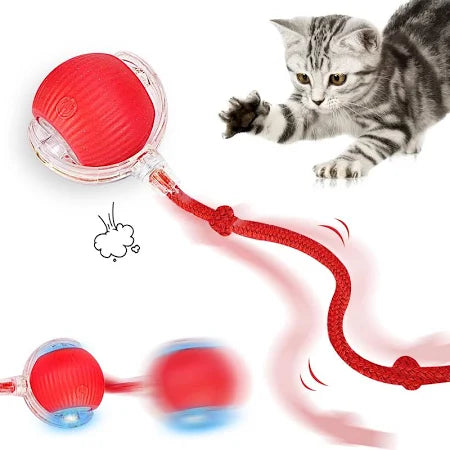 Pallina interattiva per cani e gatti